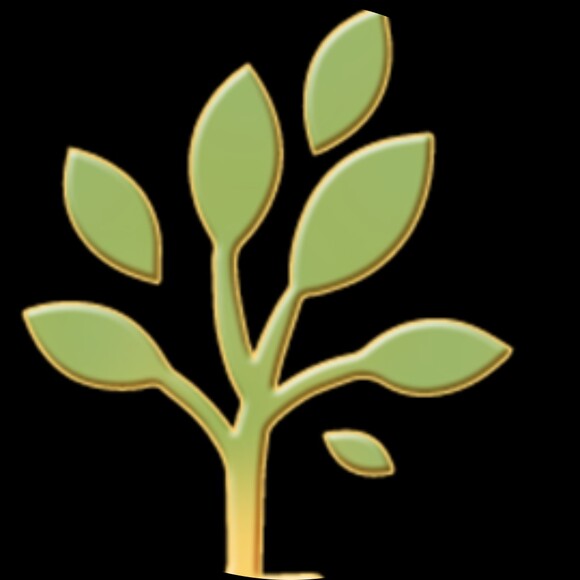 mustardseedin